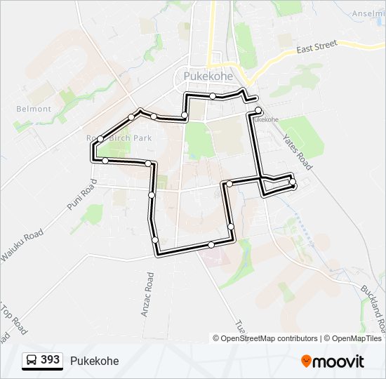 393 Route: Schedules, Stops & Maps - Pukekohe (Updated)