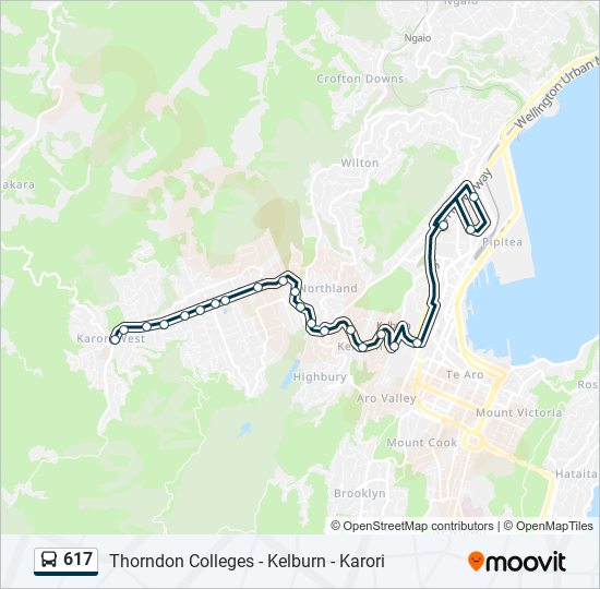 公交617路的线路图