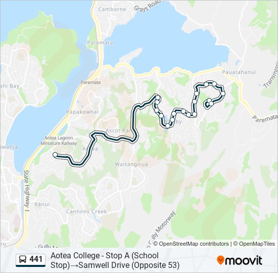 441 bus Line Map