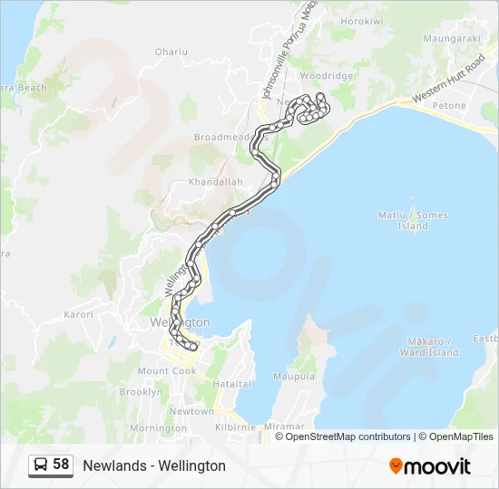 58 Route: Schedules, Stops & Maps - Courtenay Place - Stop A‎→Baylands ...