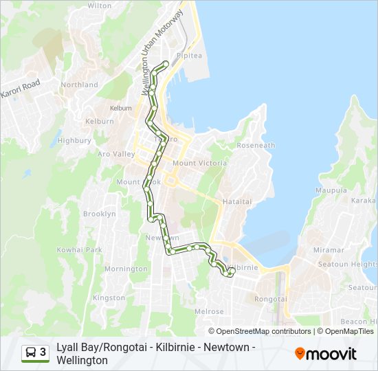 3 Bus Line Map