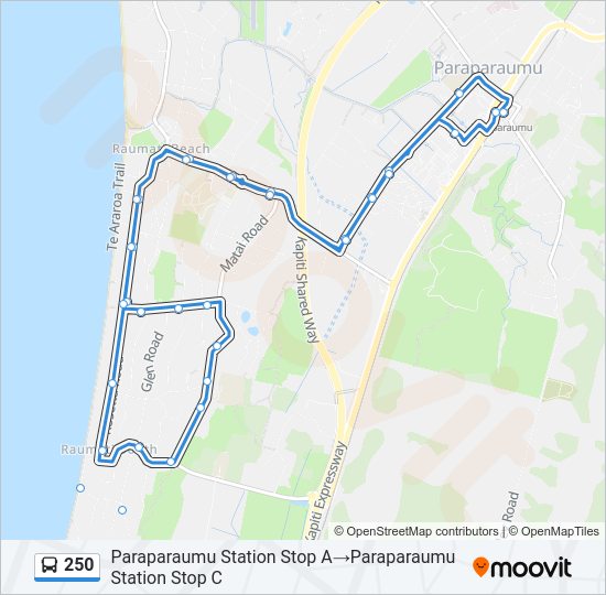 250 Bus Line Map