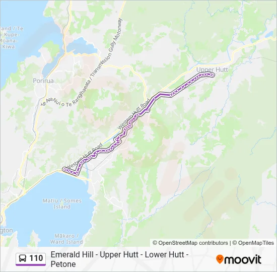 110 Route: Schedules, Stops & Maps - Petone Station - Stop B‎→Upper ...