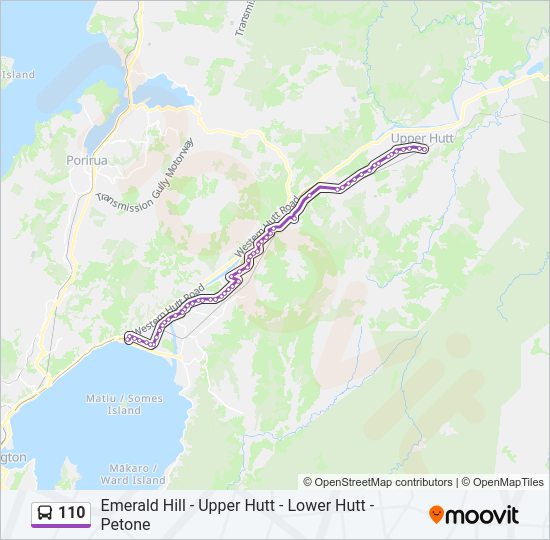 110 Bus Line Map
