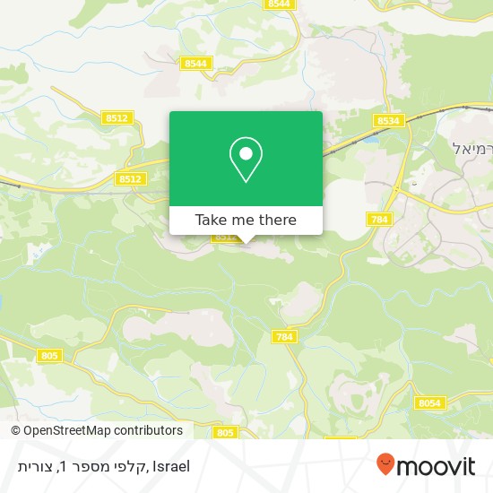 קלפי מספר 1, צורית map