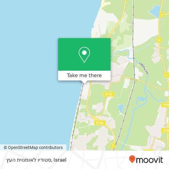 סטודיו לאומנוית העץ map