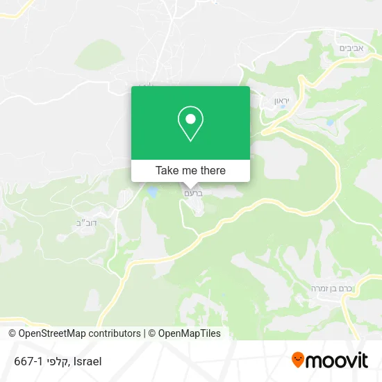 Карта קלפי 667-1