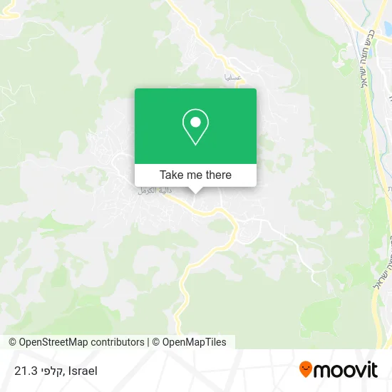 Карта קלפי 21.3