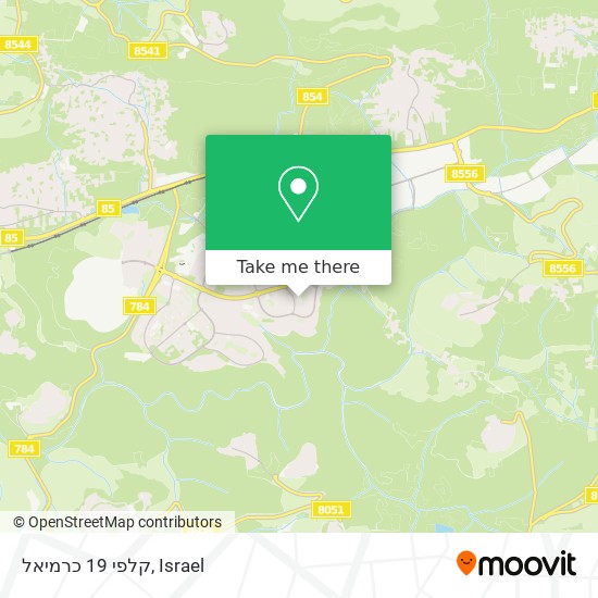 קלפי 19 כרמיאל map