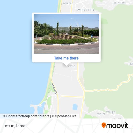 מגדים map