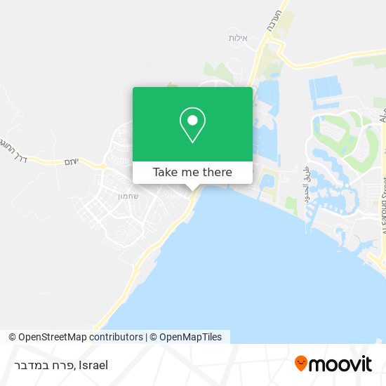 פרח במדבר map