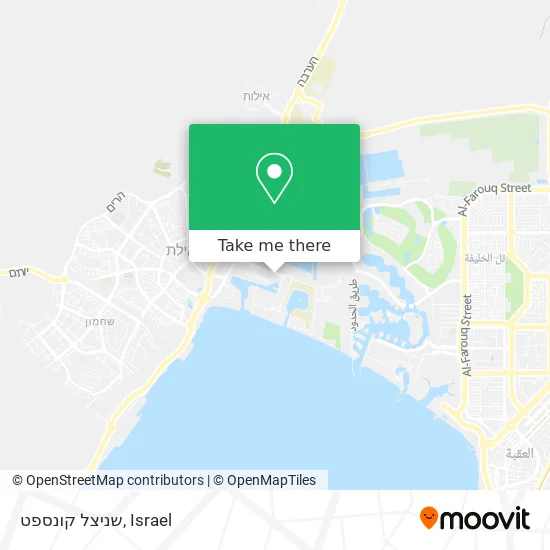 Карта שניצל קונספט