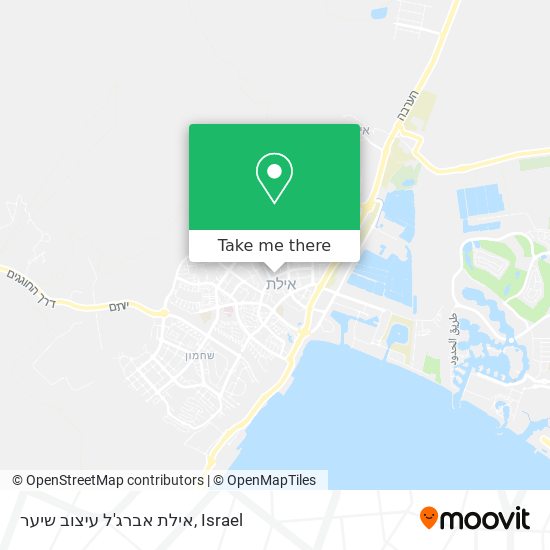 Карта אילת אברג'ל עיצוב שיער