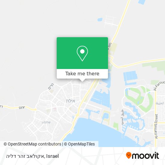 אקולאב זהר דליה map