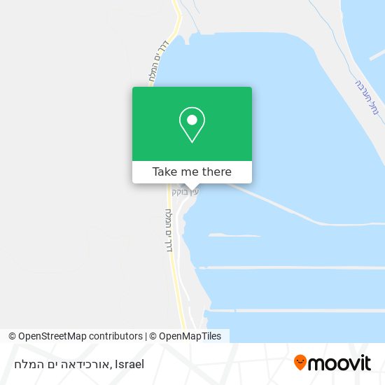 אורכידאה ים המלח map