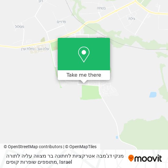 מנקי דג'מבה אטרקציות לחתונה בר מצווה עליה לתורה מתופפים שופרות קופים map