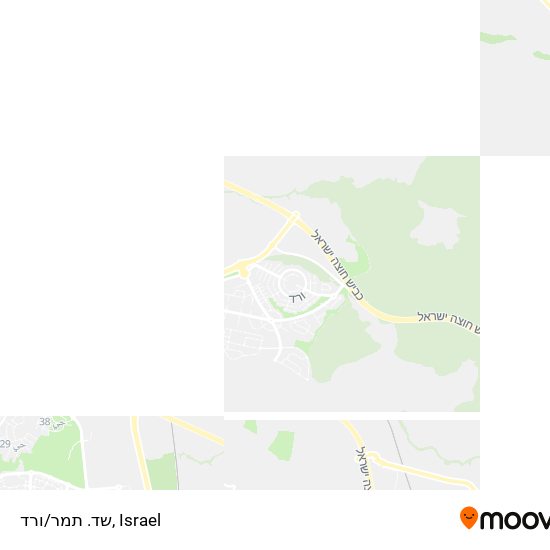 שד. תמר/ורד map