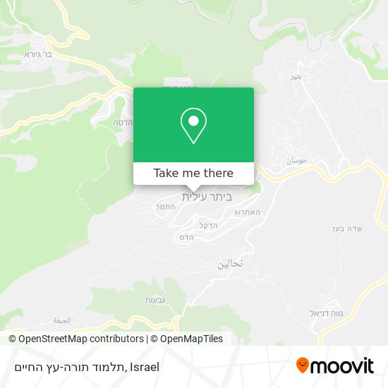 תלמוד תורה-עץ החיים map