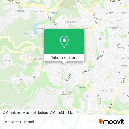 מלך החיות map