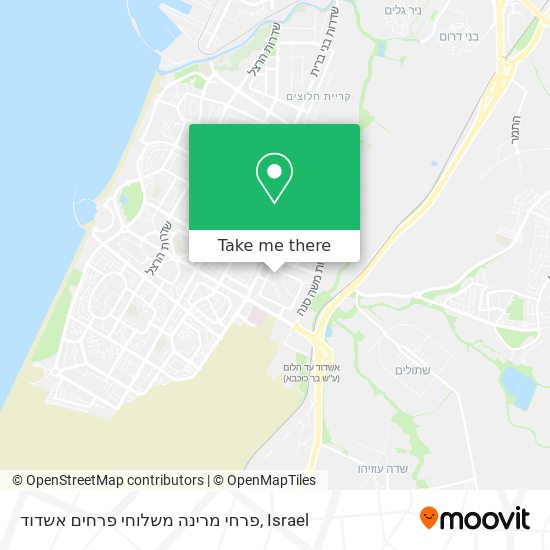 פרחי מרינה משלוחי פרחים אשדוד map