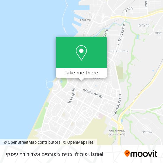 Карта יפית לוי בניית ציפורניים אשדוד דף עיסקי