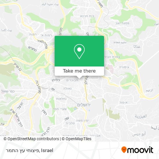 פיצוחי עץ התמר map