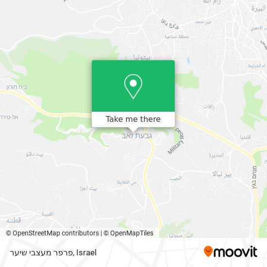 פרפר מעצבי שיער map