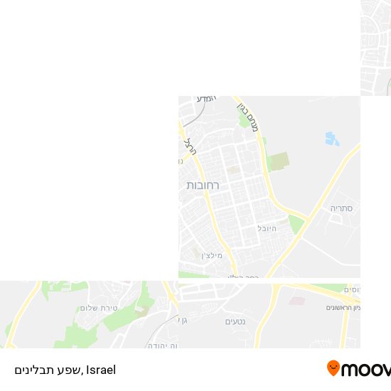 Карта שפע תבלינים