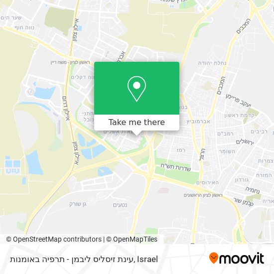 עינת זיסליס ליבמן - תרפיה באומנות map