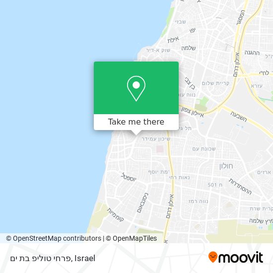 פרחי טוליפ בת ים map