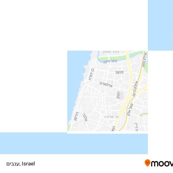 ענבים map