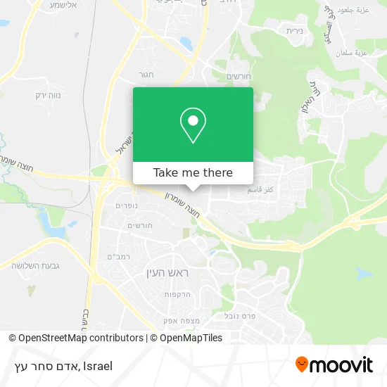 Карта אדם סחר עץ