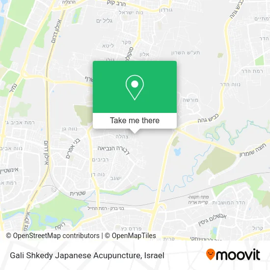 Карта Gali Shkedy Japanese Acupuncture