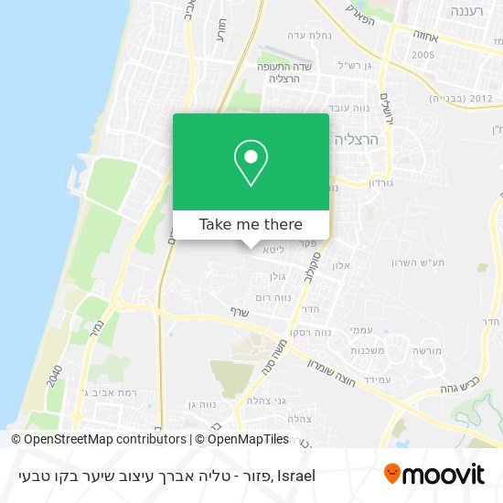 פזור - טליה אברך עיצוב שיער בקו טבעי map
