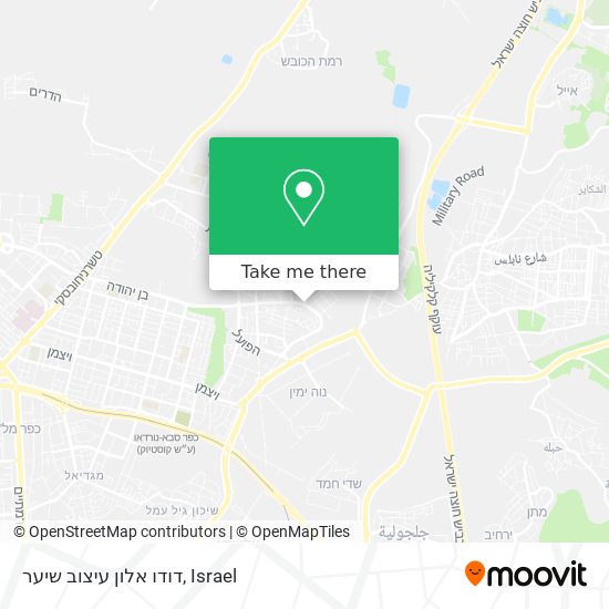 דודו אלון עיצוב שיער map