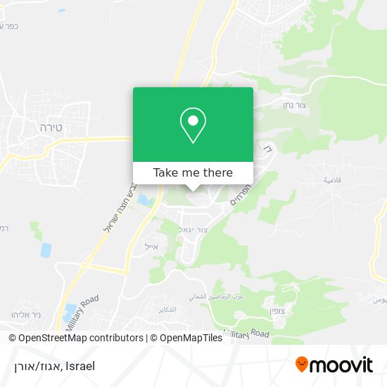 אגוז/אורן map