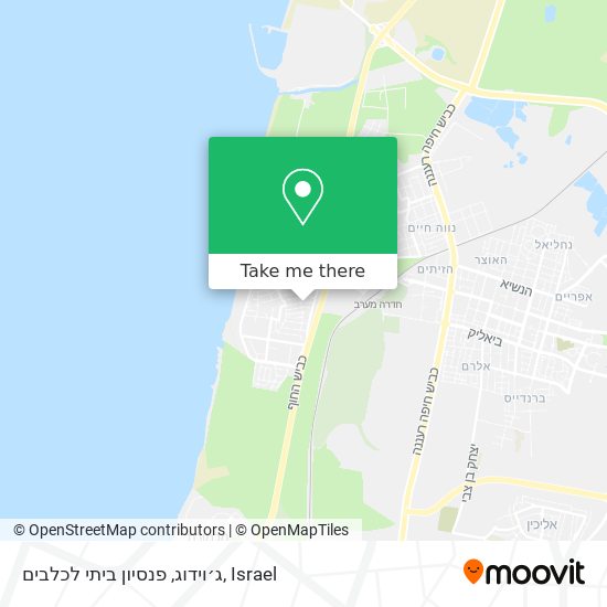Карта ג׳וידוג, פנסיון ביתי לכלבים