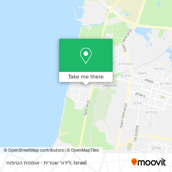 לידור שטרית - אומנות הטיפוח map