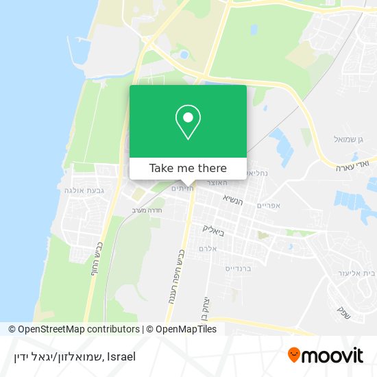 שמואלזון/יגאל ידין map