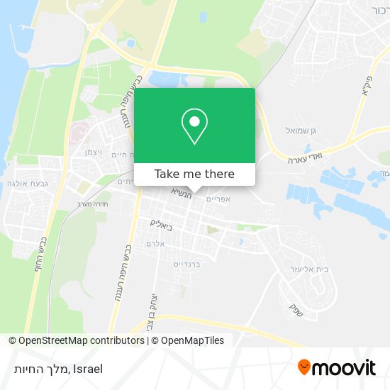 מלך החיות map