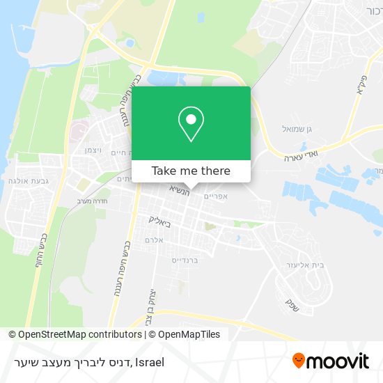 דניס ליבריך מעצב שיער map