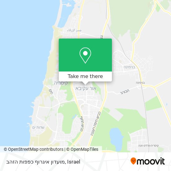 מועדון איגרוף כפפות הזהב map