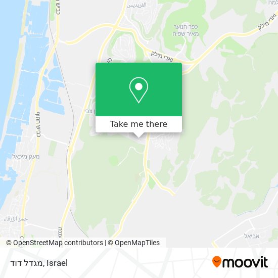 מגדל דוד map