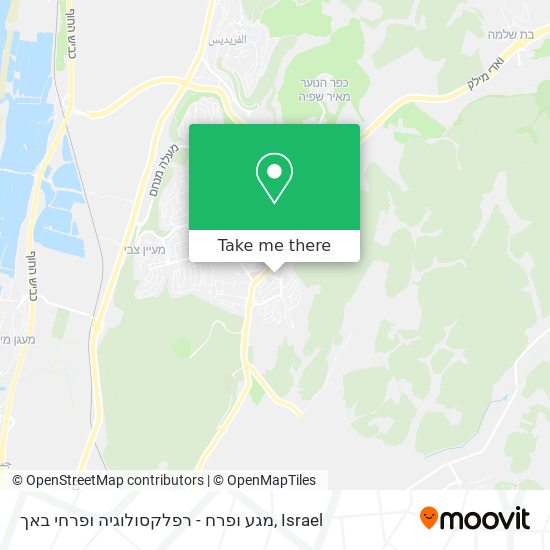 מגע ופרח - רפלקסולוגיה ופרחי באך map