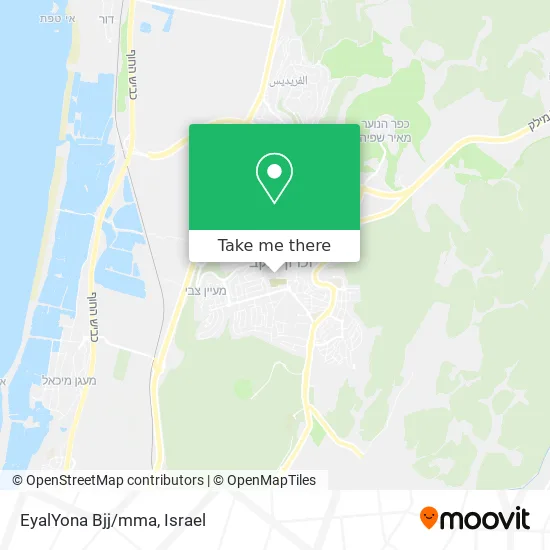 Карта EyalYona Bjj/mma