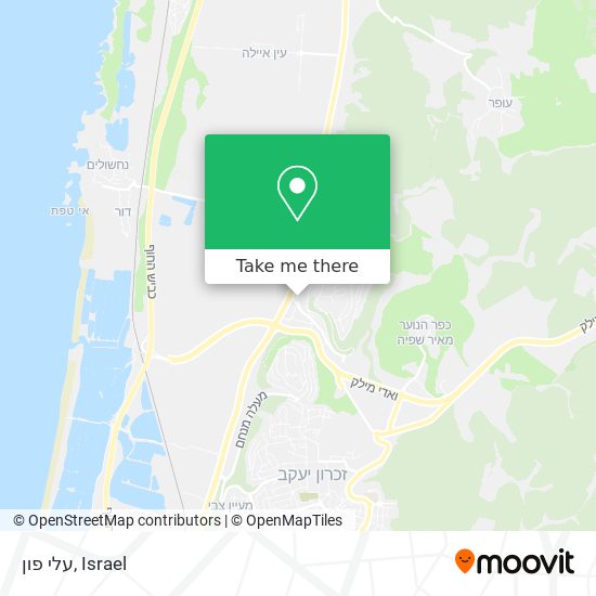 עלי פון map