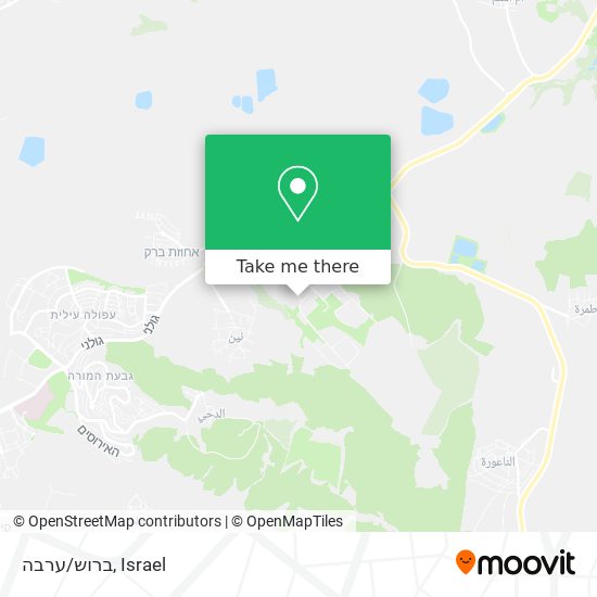 ברוש/ערבה map