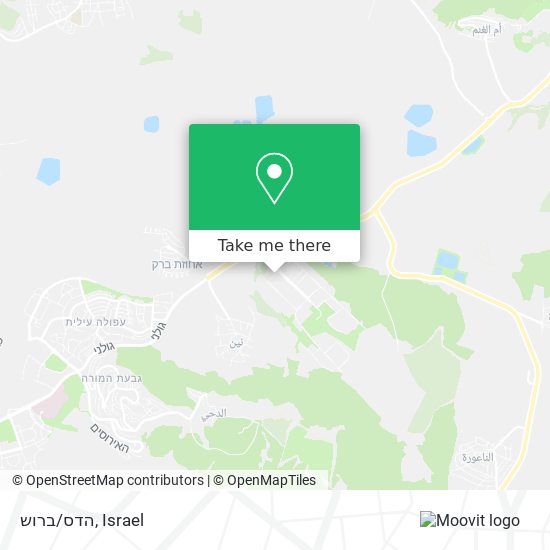 הדס/ברוש map