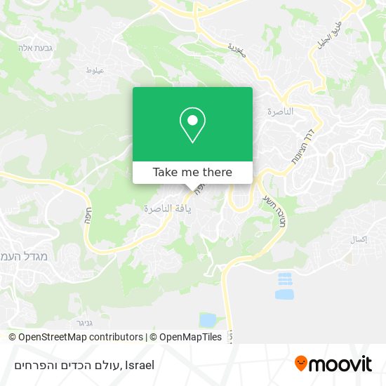 עולם הכדים והפרחים map