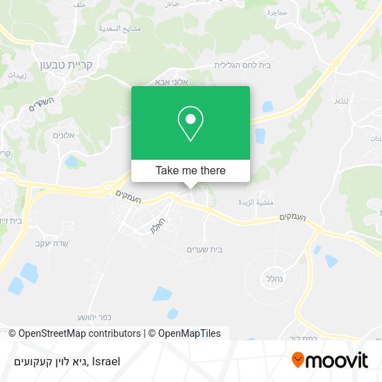 גיא לוין קעקועים map